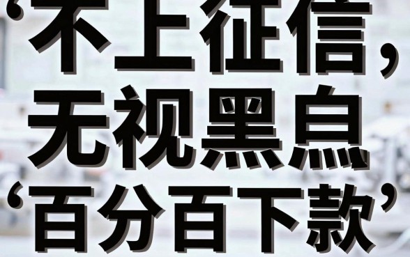 现在不上征信的贷款平台，深入剖析五个无视征信黑白100%秒下网贷app