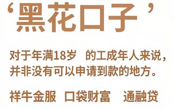 可以借款的黑花口子叫什么,归集五个网贷容易下款18岁的平台