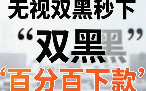 无视双黑秒下口子,鼎力推荐5个黑户都能下的口子