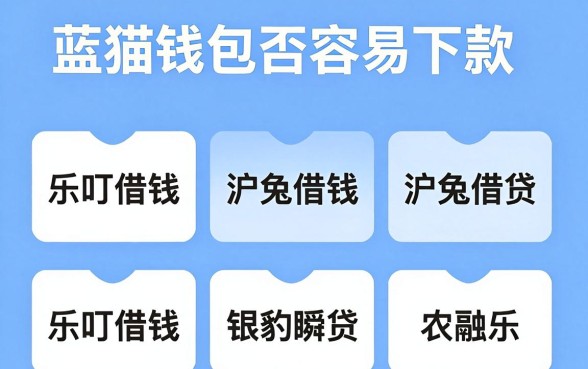 蓝猫钱包好下款吗，概览5个黑户必下款的口子