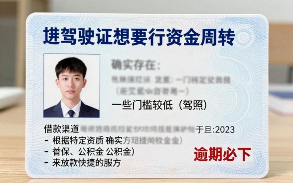 有驾驶证借款的口子吗，条列五个逾期必下款的软件