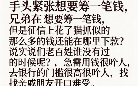 周转王这个口子下款吗，细致阐述5个可以借钱不用审核的口子