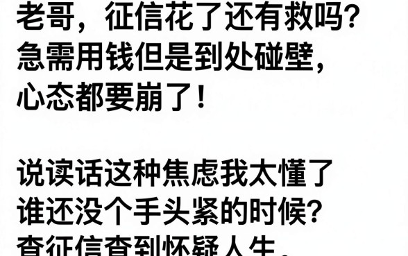 网贷门槛低的借款平台有哪些，详尽说明5个网贷黑户必过软件