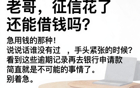 四海钱包借款口子怎样，揭秘五个正规不看征信的小额贷款app