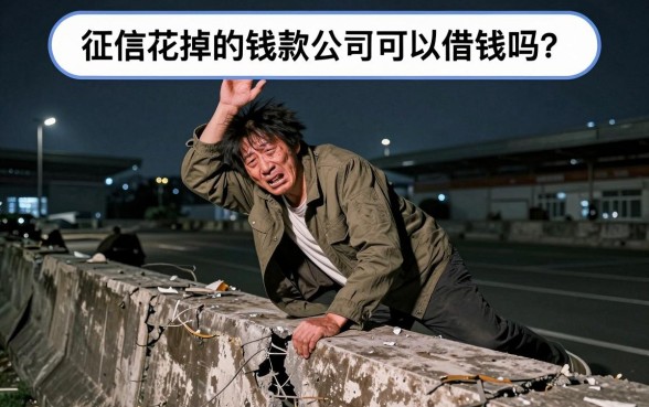 征信花了借款公司能贷吗，详细阐述五个不看征信无视黑白百分百下款app