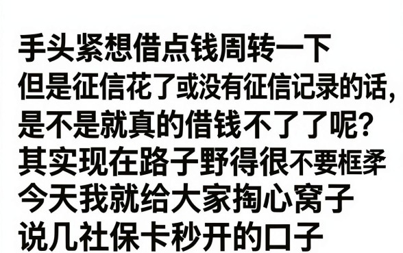 凭社保秒下的口子，揭秘5个芝麻分700能秒下的软件