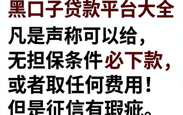 黑口子贷款平台大全可靠吗，概览五个黑户无条件下款的平台