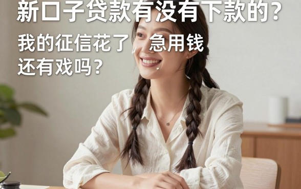 新口子贷款有下款的吗，倾情分享五个APP容易借款1万块的平台