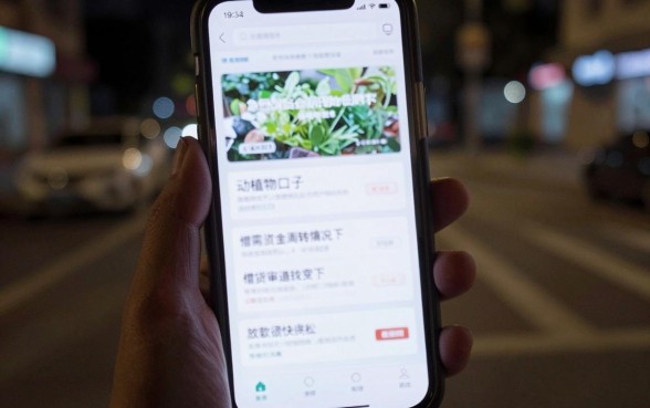 动植物口子下款最快的，筛选五个最新网贷口子今日整理这五个口子