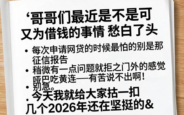 2026借款口子黑白通杀，揭秘五个分期有额度的网贷口子