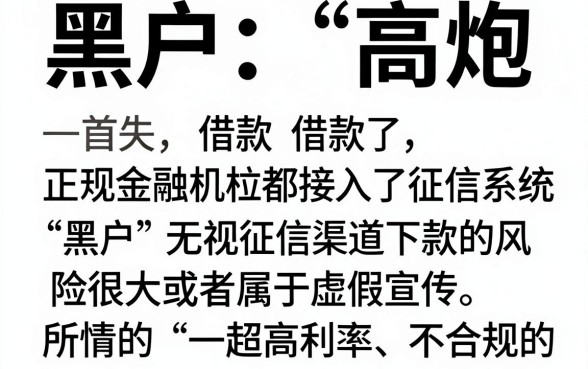 最新黑户也能下款的口子，深入剖析5个高炮能下款的软件