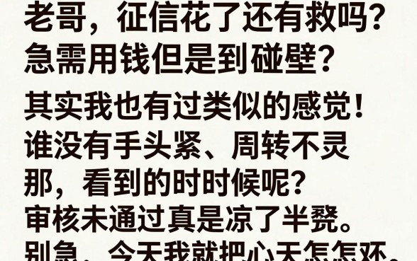网贷通过率高谁用过，诚意推荐五个网贷无视不查征信平台