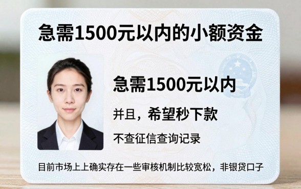1500秒下款的口子，整合5个不看征信查询的app