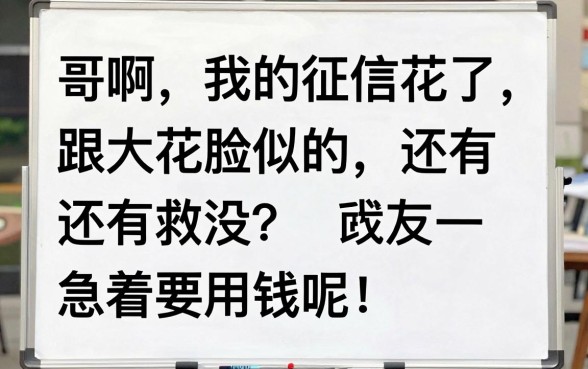 黑花口子手机借款，详细阐述五个不看征信无视黑白百分百下款网贷平台