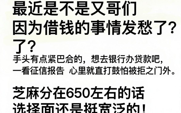 芝麻分650做什么口子，整合五个无视黑白下款8000左右的口子