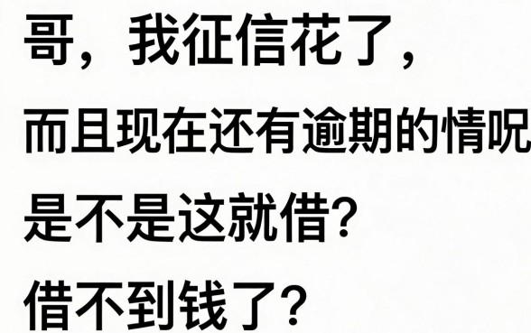 网黑会员能下的口子，整理五个无视征信大数据当前逾期下款的口子