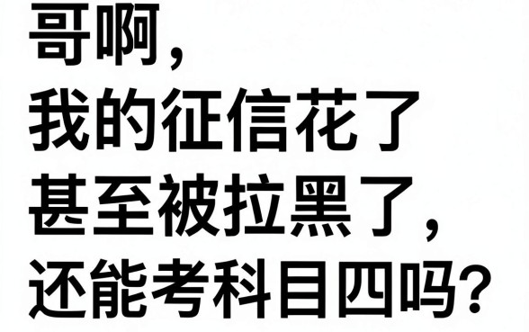 征信拉黑花了能考科目四吗，细致阐述5个秒批网贷轻松贷的软件