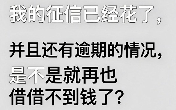 无视黑白可以分期的口子，深入剖析5个不看负债查询的口子