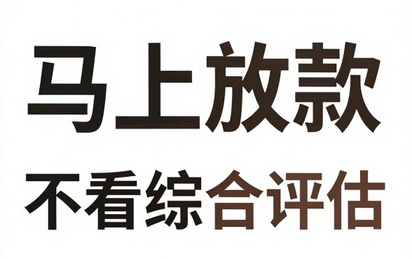 app下款能贷款马上放款，理出五个借钱平台不看综合评估的平台