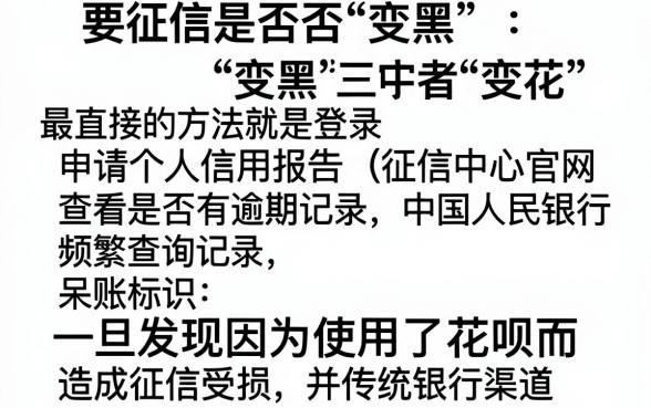 征信黑花了如何查出来，鼎力推荐5个支付宝花呗逾期万元快速贷款平台