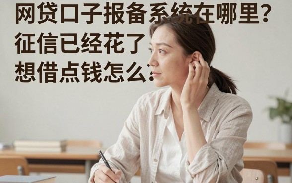 网贷口子报备系统在哪，梳理5个不看征信查询的app