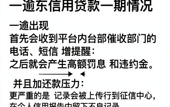 京东信用贷款逾期会怎么样，条列五个无视一切是人就下款app