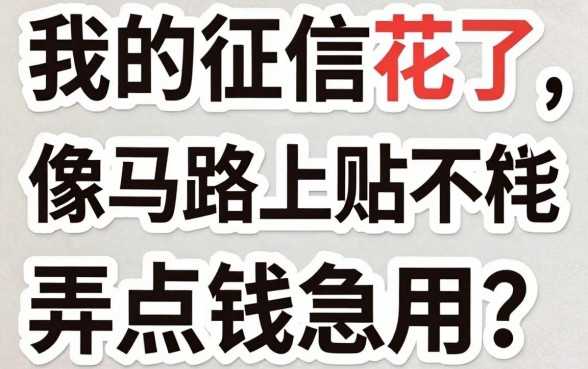 无门槛网贷5万怎么样，详细阐述五个不上征信报告的贷款平台