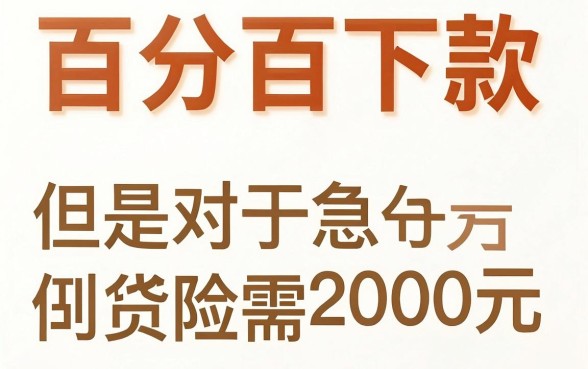 百分百能下款2000的口子，罗列5个黑户成功获取大额贷款的口子
