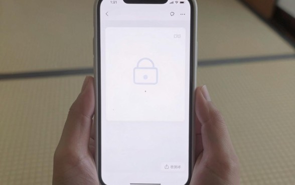 手机黑户能下款的的网贷，细致阐述五个看银行流水的网贷app