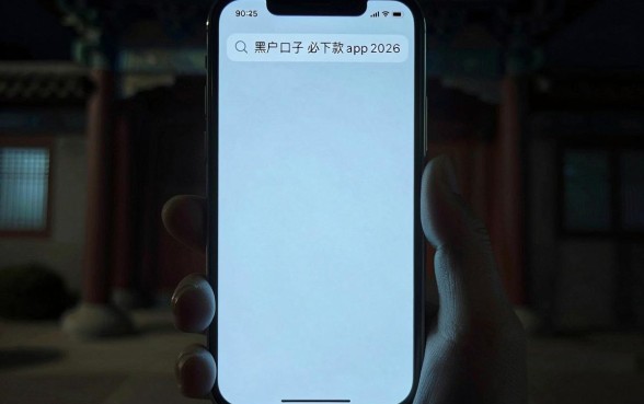 黑户口子必下款app2026，概括5个网贷口子风控不严的软件