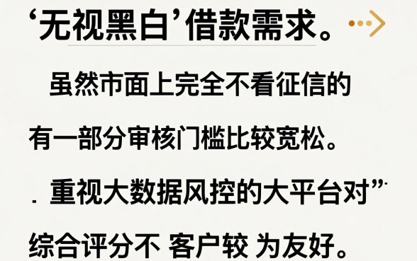 无视黑白能下的平台软件，枚举5个分期有额度的网贷软件
