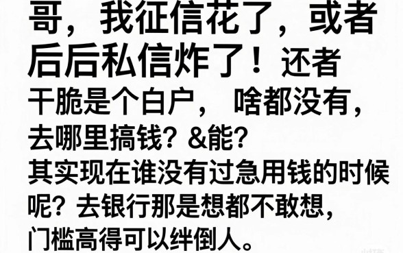 最近白户有啥好口子下的，梳理五个花户3000秒下款app