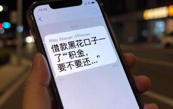 借款黑花口子要不要还，深入剖析5个公积金快速贷款口子