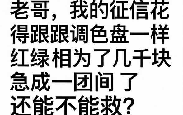 信用花app借款，遴选五个逾期太多仍可下款的口子