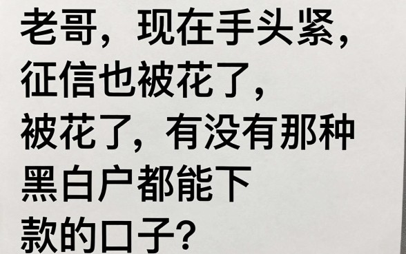 最近黑白都好下款的口子吗，筛选五个网贷无视不查征信软件