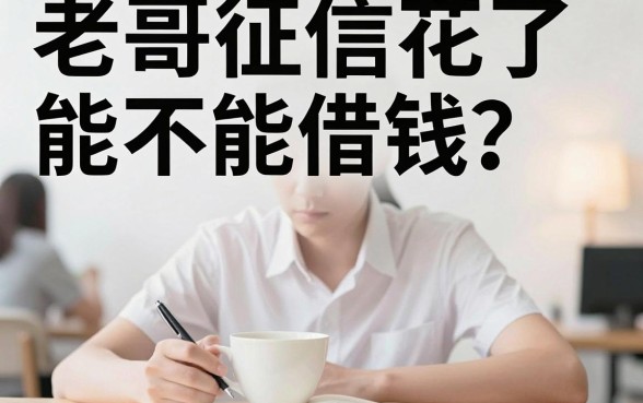 哪种app贷款容易，整合五个黑户借款口子