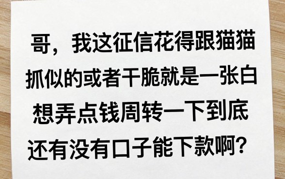 17岁可以做什么网贷，归集五个征信瑕疵也能借网贷轻松下款的app