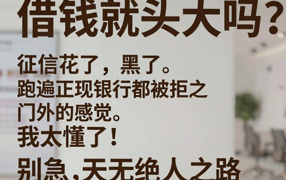 征信黑烂户能下的口子，整合五个凭支付宝花呗贷款的软件