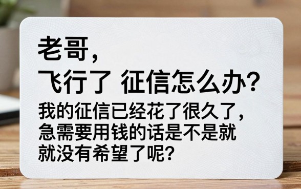 飞行卡不上征信吗怎么办，归集5个秒批网贷轻松贷的平台
