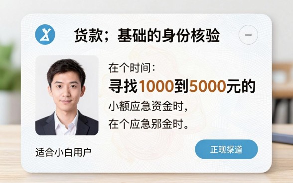 在贷款软件发了身份证，概括五个1000至5000的小额贷款app