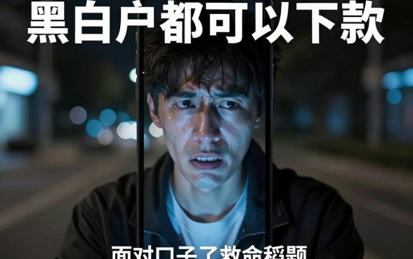 黑白户都能下款的贷款口子，深入剖析五个无视一切包下款5000秒下款的口子