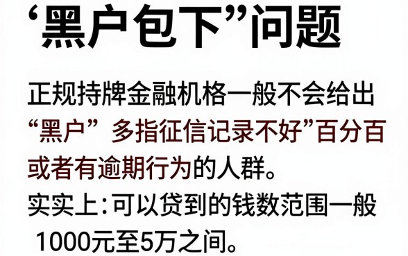 黑户包下的小贷能贷多少，梳理5个黑户快速下款的口子