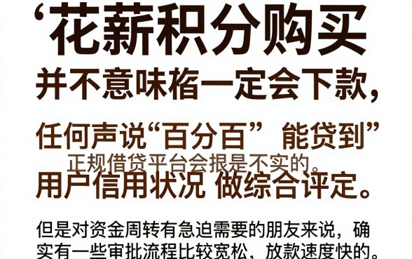 花薪积分购买必下款吗，概览5个闪电审批的软件