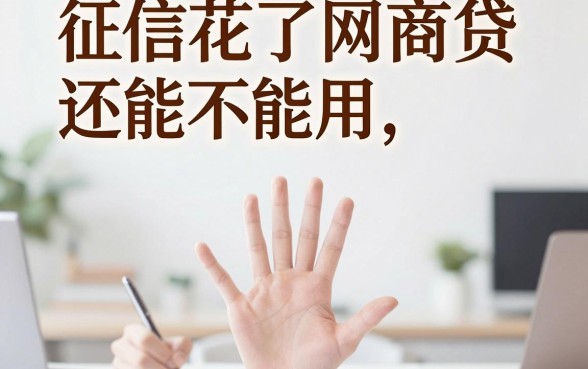 征信花了网商贷还能用吗，汇总五个不上征信的贷款平台