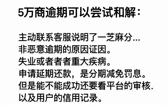 网商贷5万逾期可以协商吗,精选5个芝麻分负面借款的软件