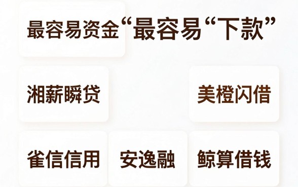 最容易下款的贷款平台有哪些，条列五个不看年龄征信负债的平台
