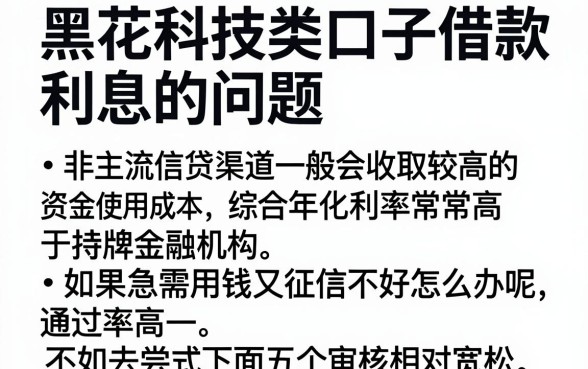 黑花科技口子借款利息高吗,精选五个无视黑白100%秒下网贷口子