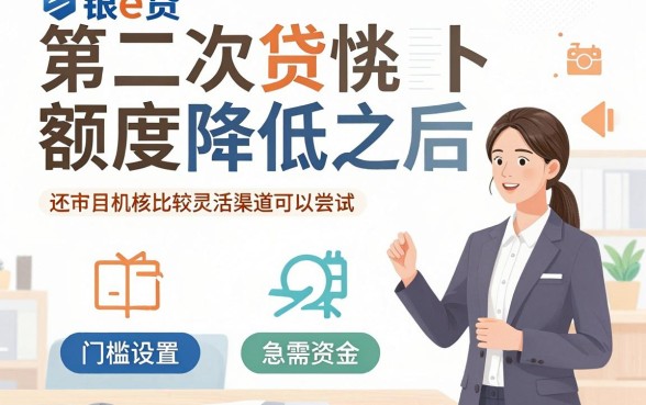 中银e贷第二次额度降低，整合5个黑户下款口子