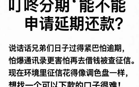 叮咚分期可以申请延期还款吗，条列5个正规不看征信的小额贷款平台