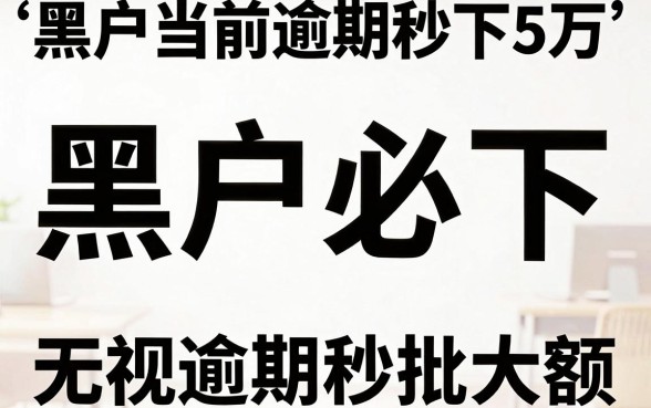 黑户能下的新口子,深入剖析5个黑户当前逾期秒下5万平台